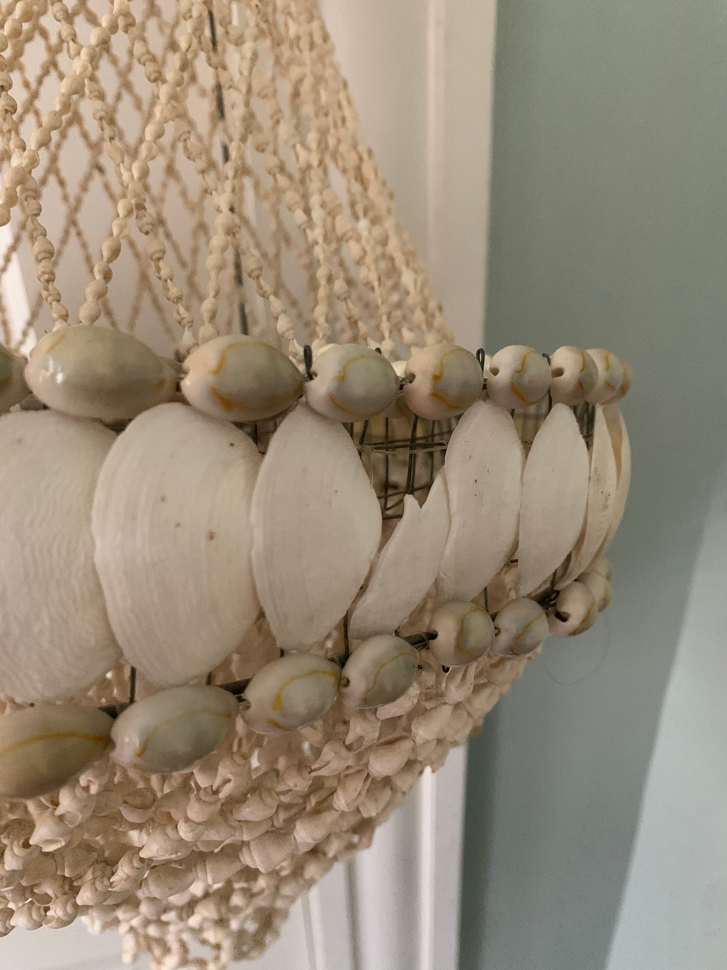 Seashell Chandelier
